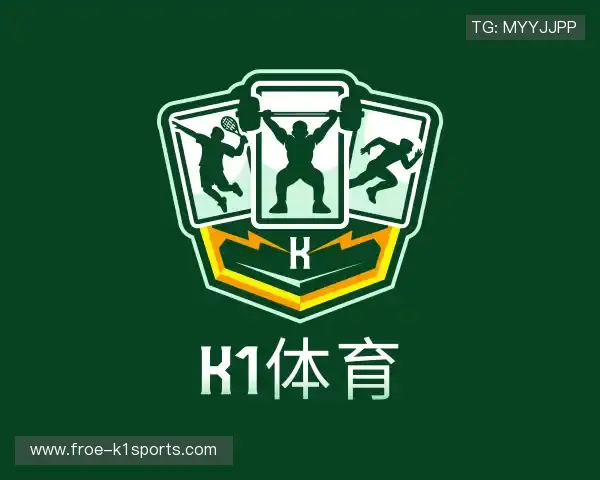 介绍k1体育